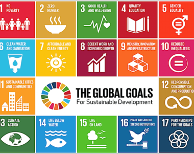 Graphic of the sustainable development goals